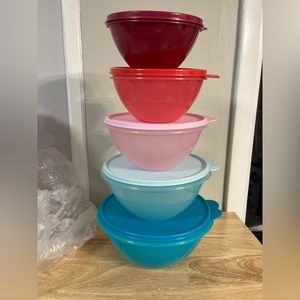 NEW TUPPERWARE 5 piece wonderlier bowl set
